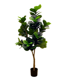 R201096 PLANTA ARTIFICIAL  PANDURATA  180 CM