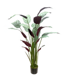 R201116 PLANTA ARTIFICIAL MARANTA 1.40M