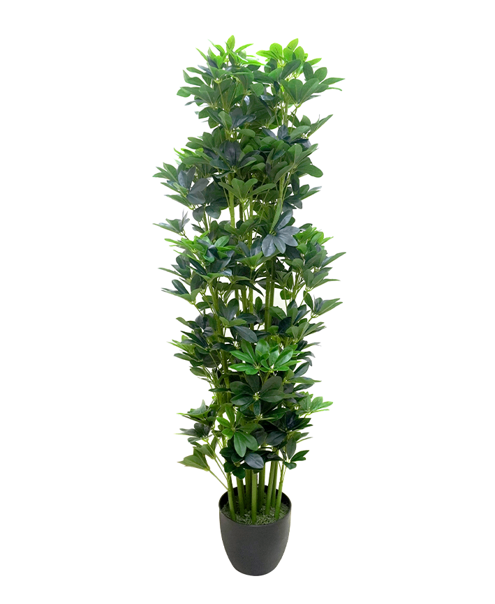 R201118 PLANTA ARTIFICIAL CHEFLERA 1.40M