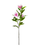 R203005 - 1 VARA MAGNOLIA FOLLAJE 105CM