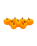 R219008 CALABAZAS 5-7CM 9PZS