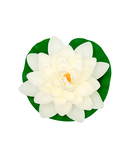 R219402-1 FLOR LOTO FLOTANTE 18 CM BLANCO