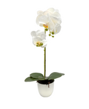 R228001-1 BASE CON ORQUIDEA 56CM