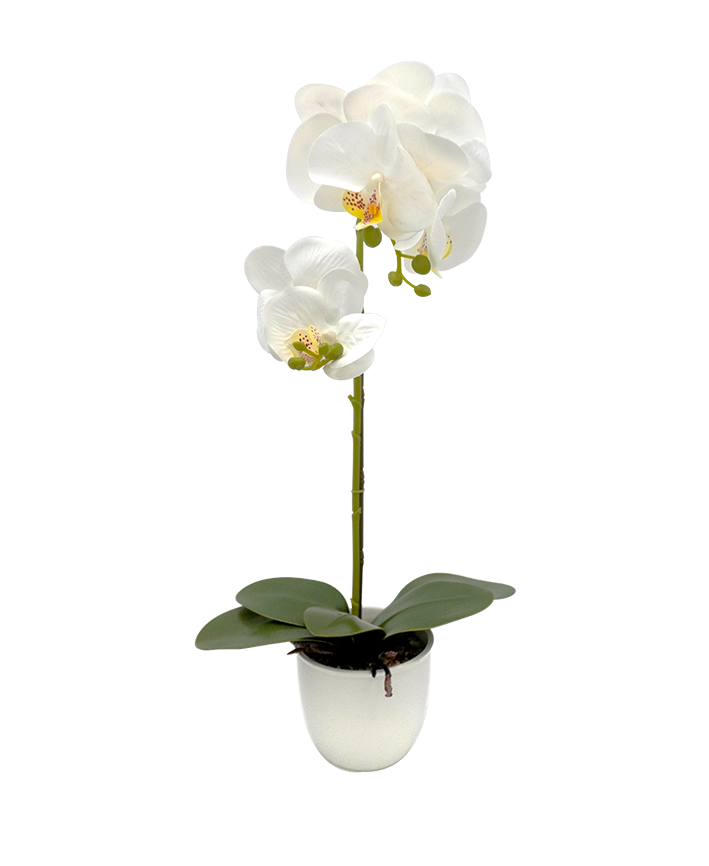 R228001-1 BASE CON ORQUIDEA 56CM