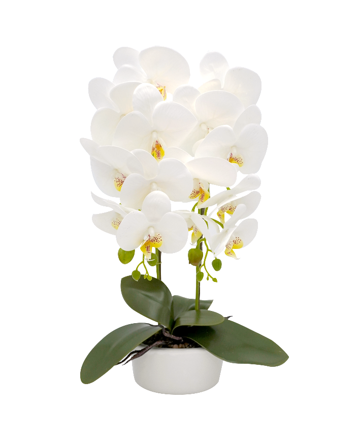 R228002-1 BASE CON ORQUIDEA 58CM