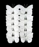 R713203 MARIPOSA DECORATIVA 12PZS BLANCA